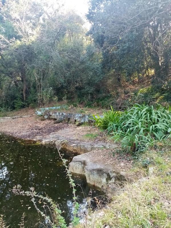 3 Bedroom Property for Sale in Hogsback Eastern Cape